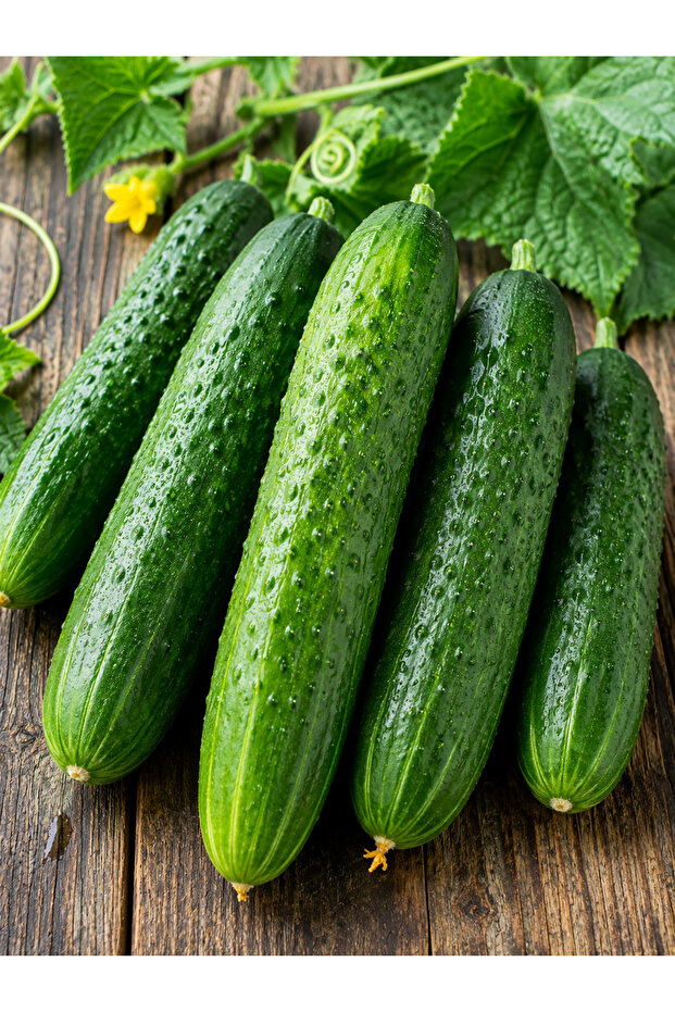 Çengel Salatalık 500 Gr