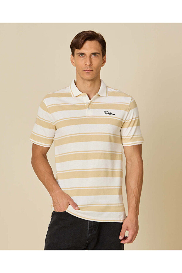 Men White And Beige Striped Polo T-Shirt