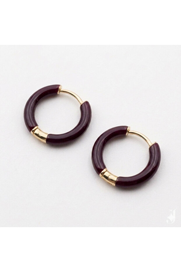 Colorful Enamel Gold Color Small Hoop Steel Earrings
