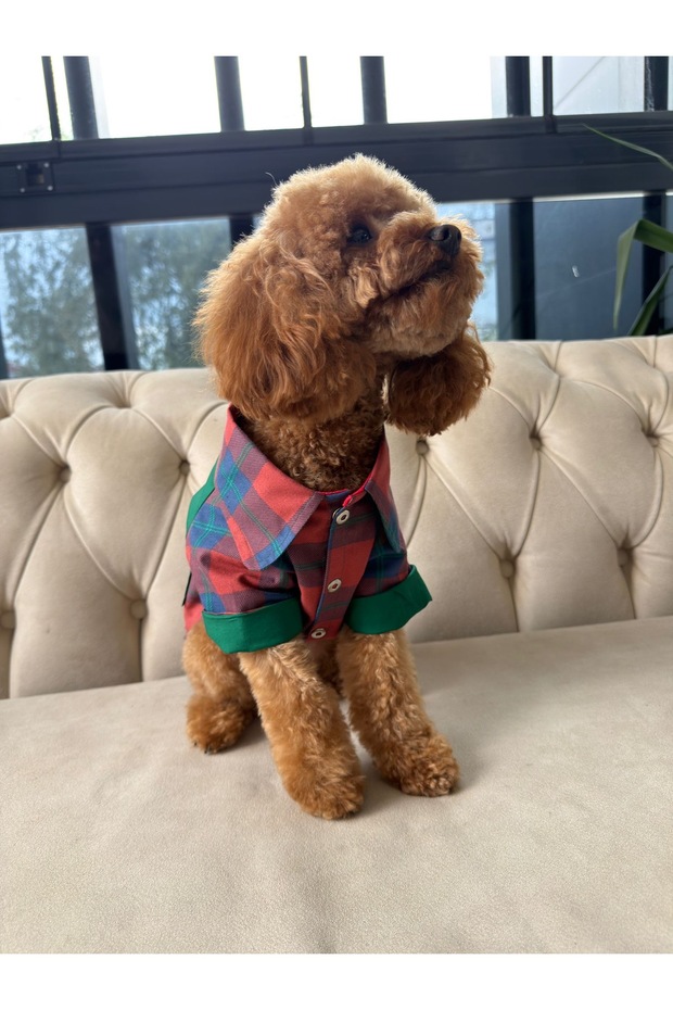 Small Breed - Red Plaid Summer Shirt Dog Outfit – with Snap Fasteners