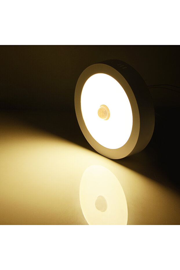 6W Warm White Ceiling Lamp With PIR Motion Sensor 110V 220V 6W -18W Led Lights For Room LamparaTecho