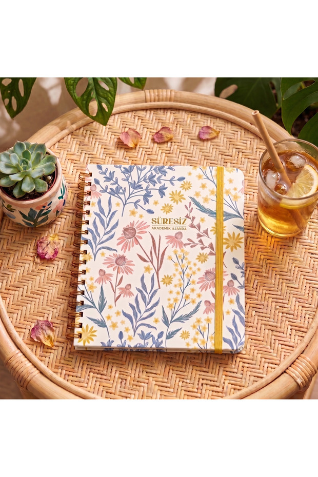 19 X 21 Spiral Bound Timeless Academic Planner - Pastel