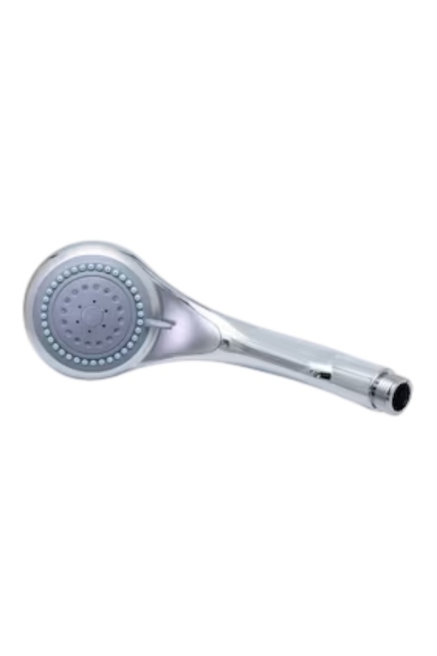 2-function shower head