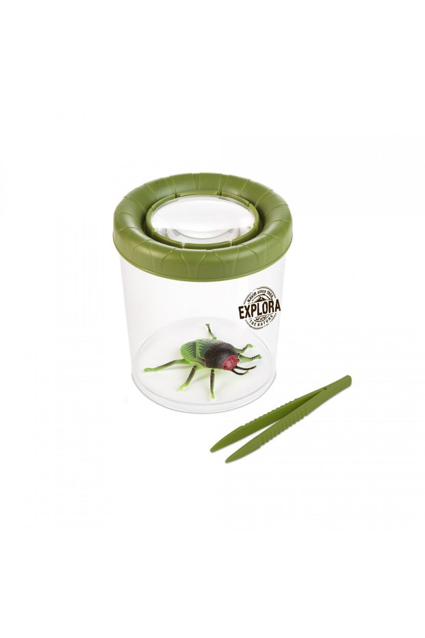 Explora Insect Box