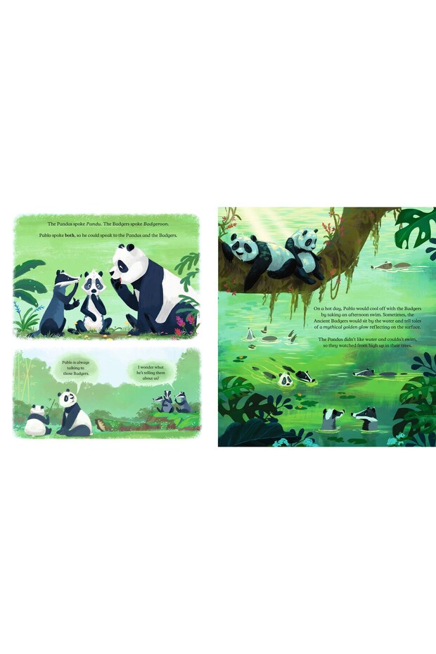 Panda-Badger - 3