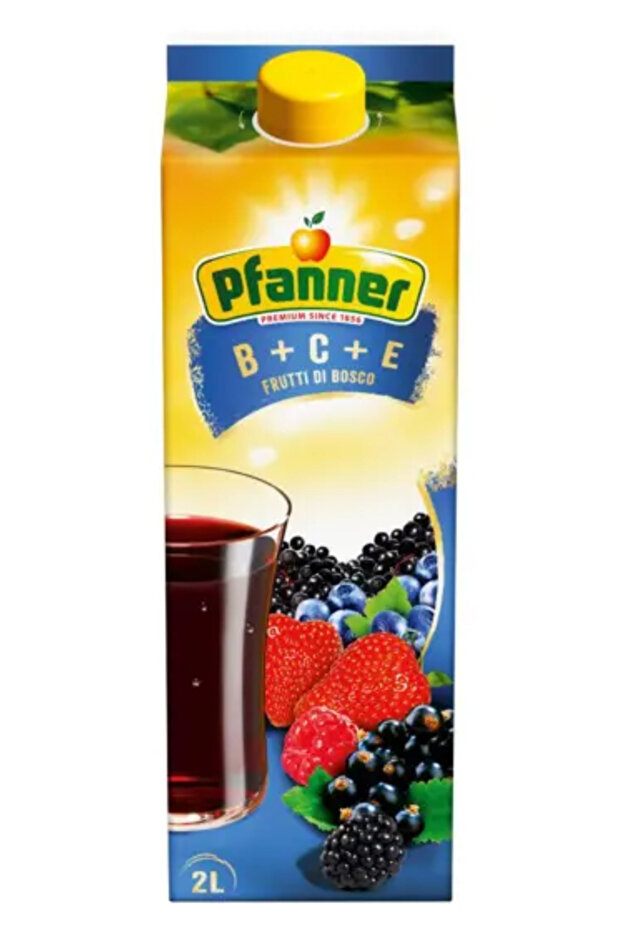 nectar fructe de padure 2L - 1