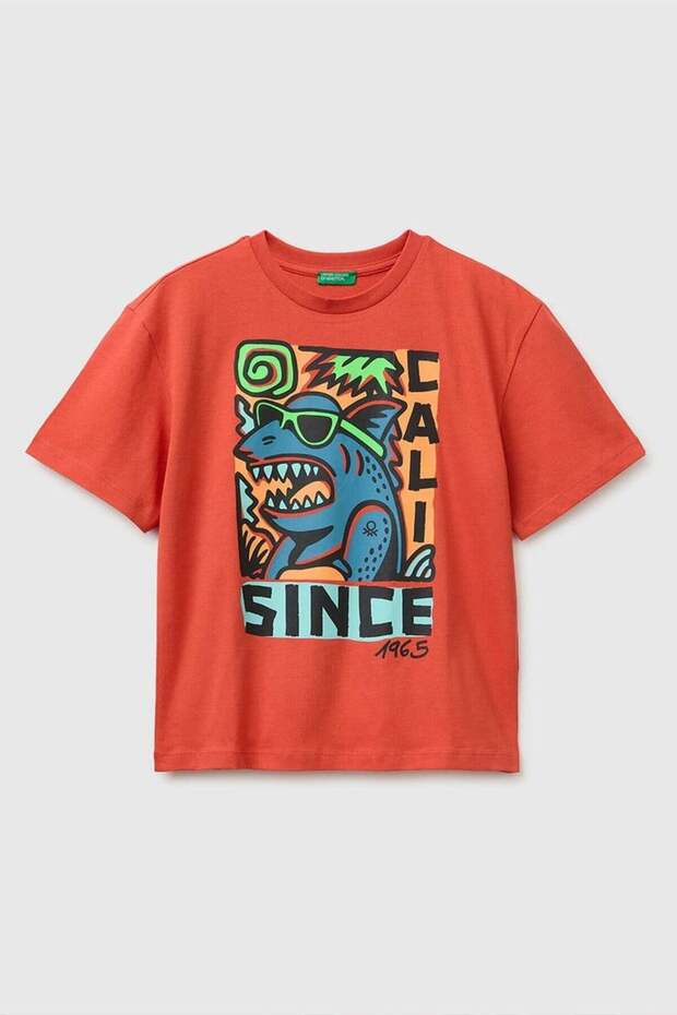 Boy's Crew Neck T-Shirt with Front Print Detail, Red Ecru, Ages 6-13