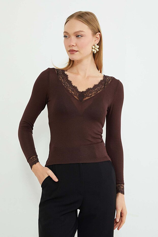 Sleeves and Collar Lace Pieces Sheer Blouse