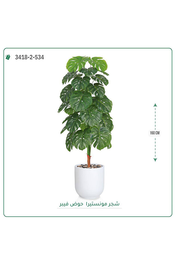 شجرة مونستيرا صناعية حوض فيبر { ارتفاع 160 سم }
