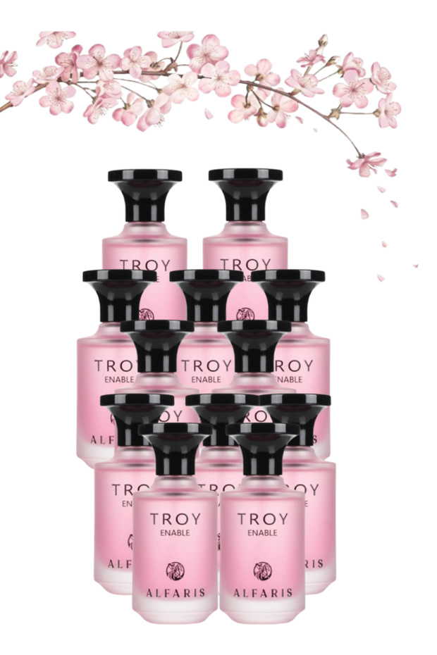 12 Pieces Troy Enable Perfume 100ML