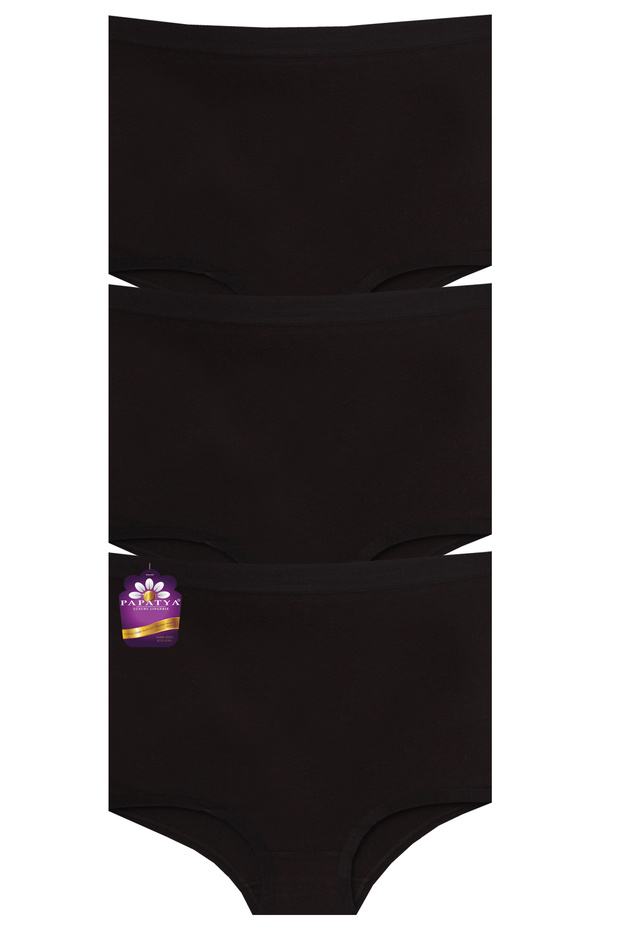 Modal/Cotton Blend High Waist Basic Panties 3-Piece R7/3 Pack W-4364-6