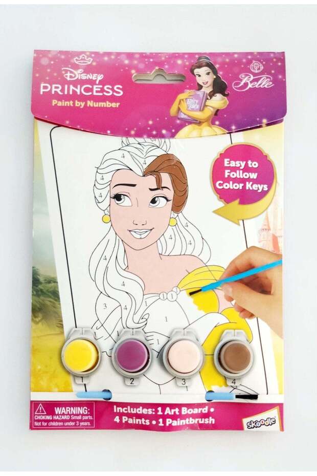 Paint By Number Princess