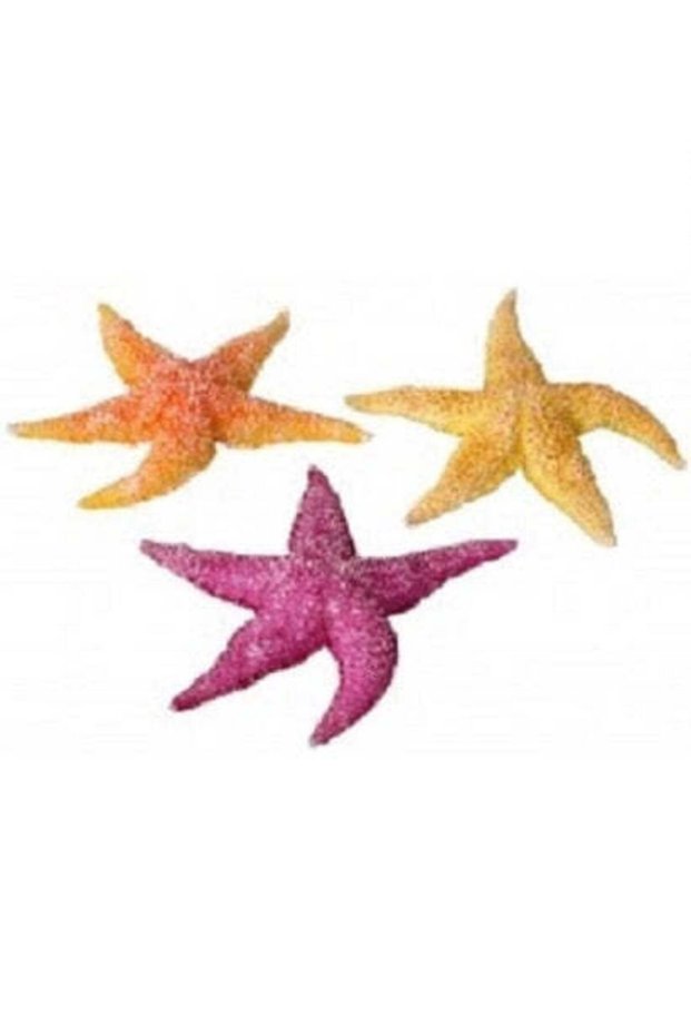 Real Sea Star for Aquariums
