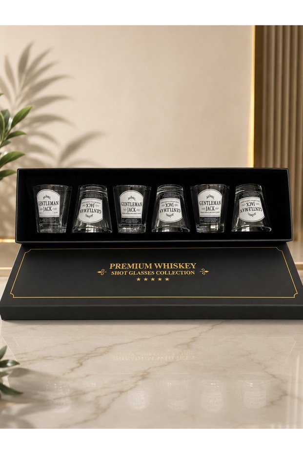 Premium 6-Piece Shot Glass Gift Set