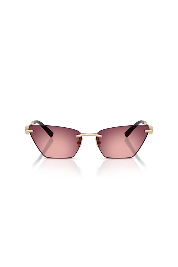 Tiffanıy Tf 3120 62428H .61 Sunglasses