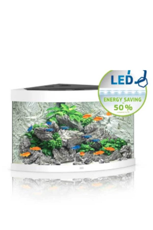 Trigon 190 LED White