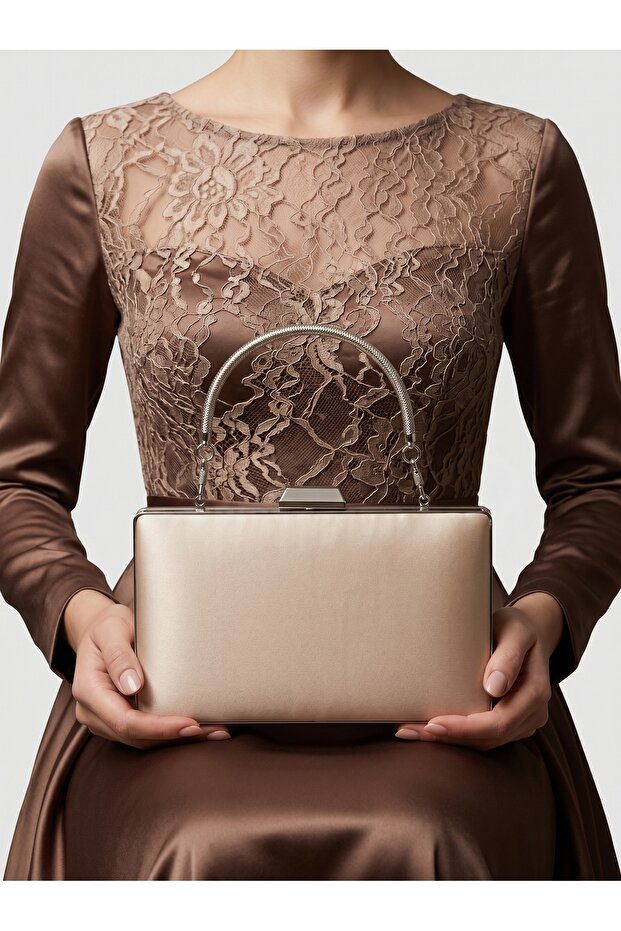 Mink Color Satin Silver Case Silver Stone Evening Bag Evening Bag Wedding Engagement Portfolio