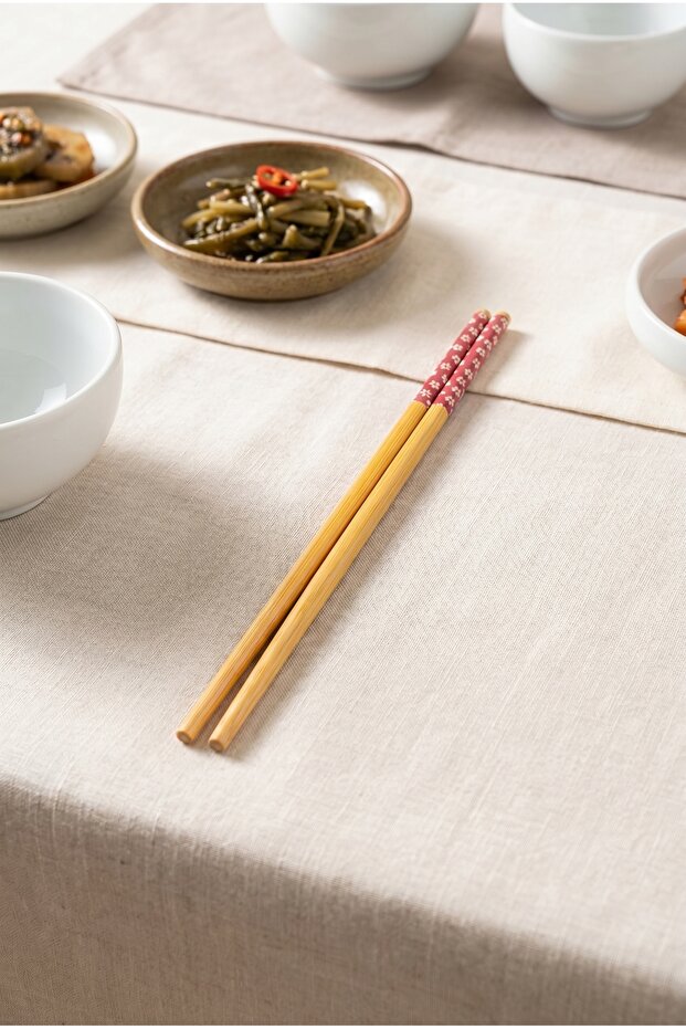 FeTitaniumucini 5 Pairs Chopstick Bcsf1