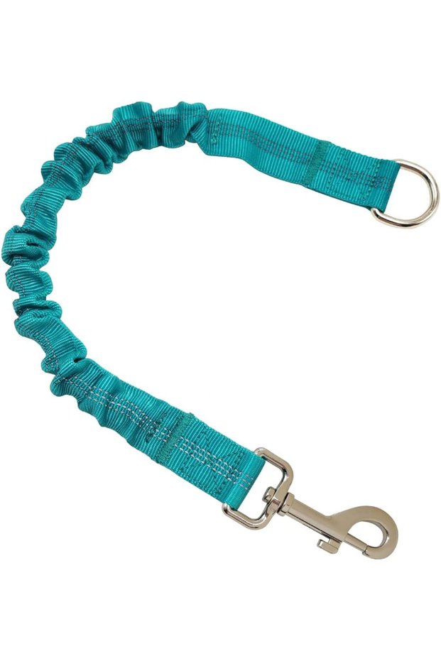 Blue Dog Leash Extension - Adjustable and Extendable, Durable Retractable with Metal Buckle, Suitabl
