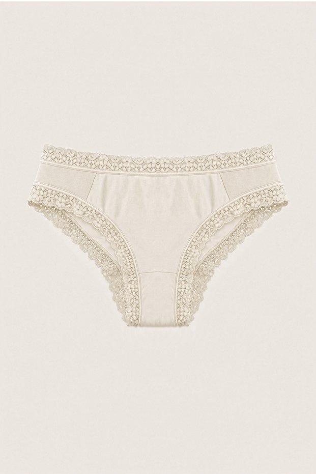 Women's Lace and Tulle Detailed Micro Fabric Panties Hipster Slip | Flexible Soft Daily Underwear