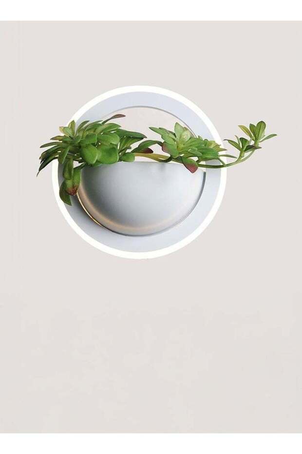 Modern Lighting, Wall lamp, Light, Green plant fancy wall lamp, White Color, 30x20 cm, Suitable for bedroom and kitchen, bathroom, living room, tv room