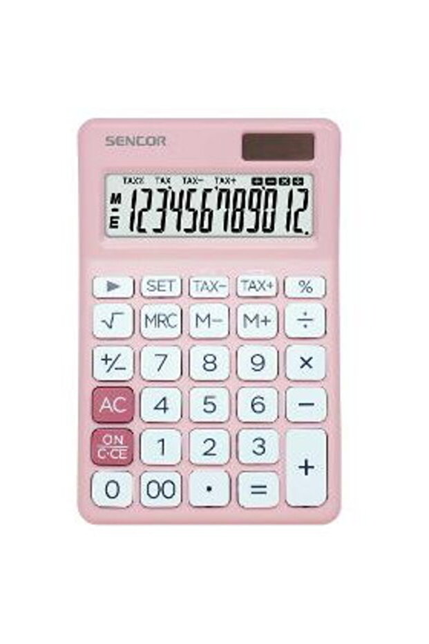 SEC 381 Roz - 1
