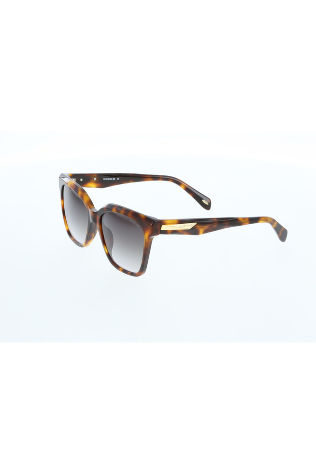 3846 C2 57-14-145 Sunglasses