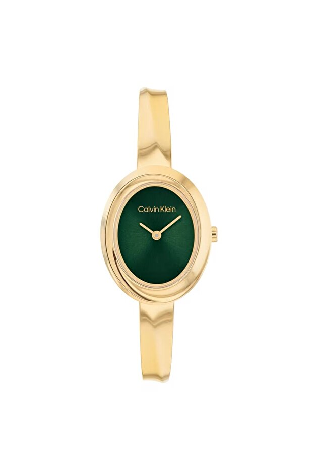 Ck25100203 Women's Wristwatch