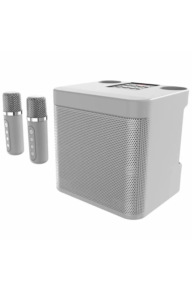 Professional Karaoke Portable Wireless Bluetooth Speaker with Dual Microphones