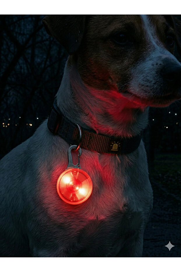 Petglow Led Safety Light