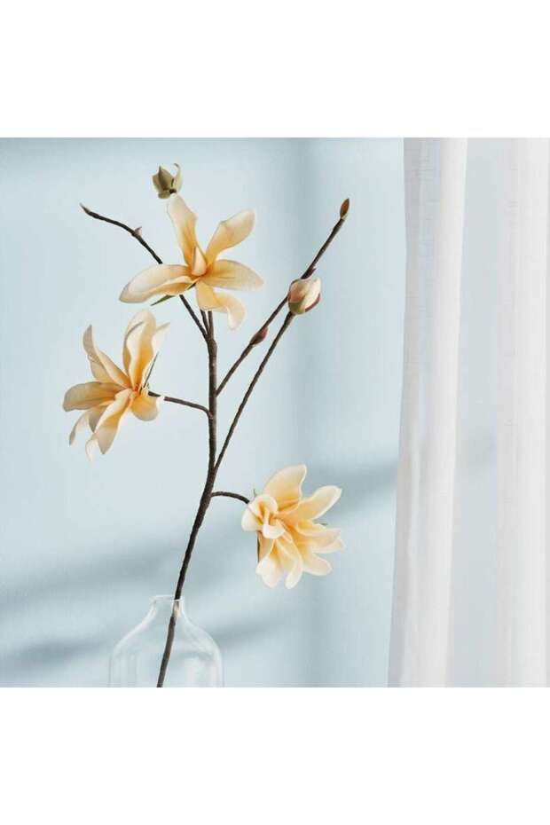 Orchid Artificial Stem Flower H101cm - Cream