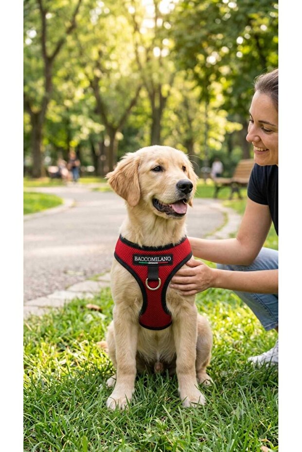 Comfortable Pet Chest Harness Size S