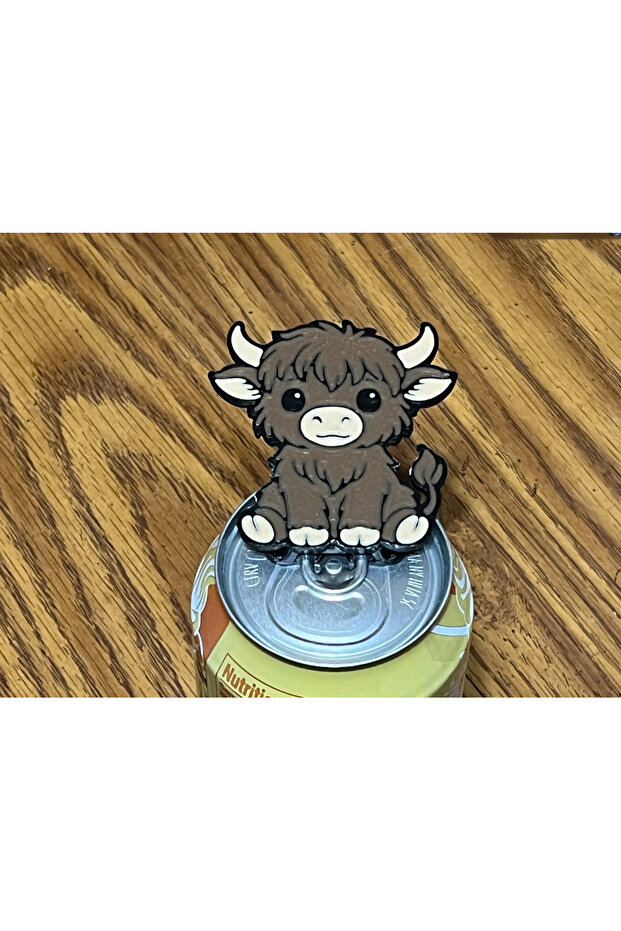 Keychain Shaped Can Opener Carbonated Beverage Can Opener