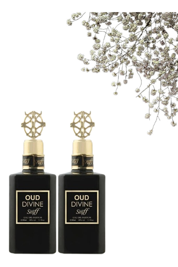 قطعتان من عطر العود الإلهي 100 مل