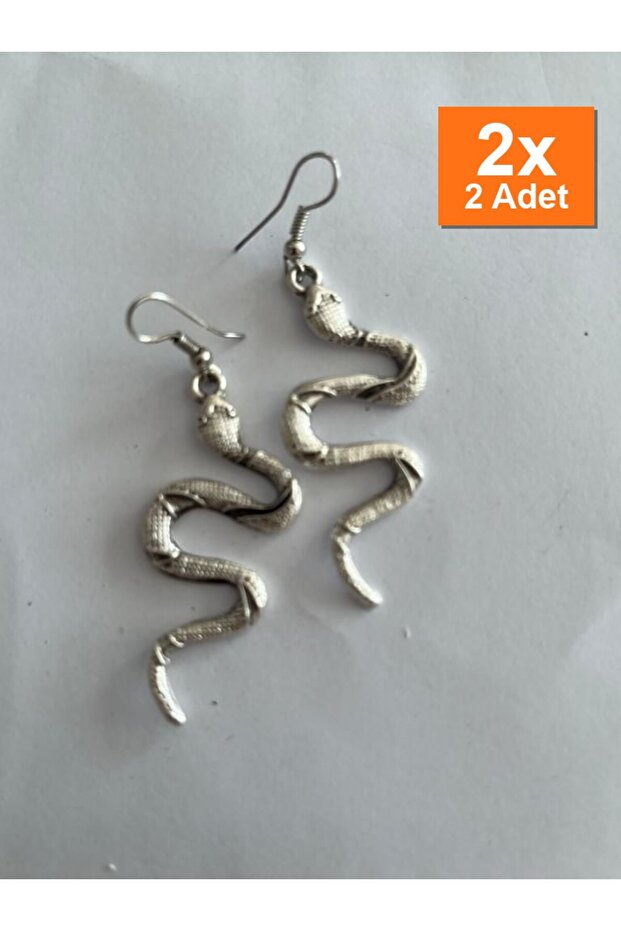 Earrings Stylish Special Design Gift