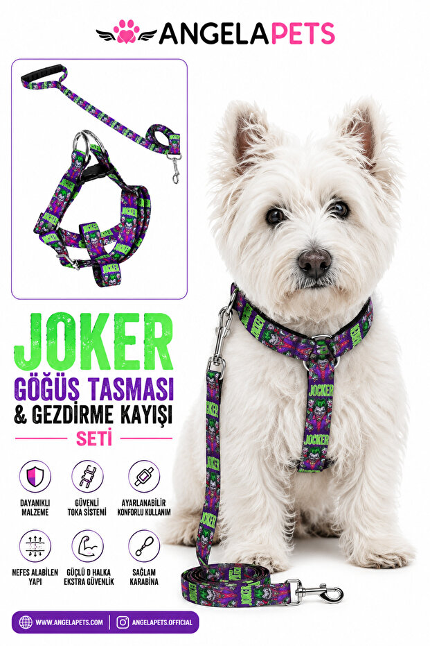 Dog Chest Harness and Walking Strap Set