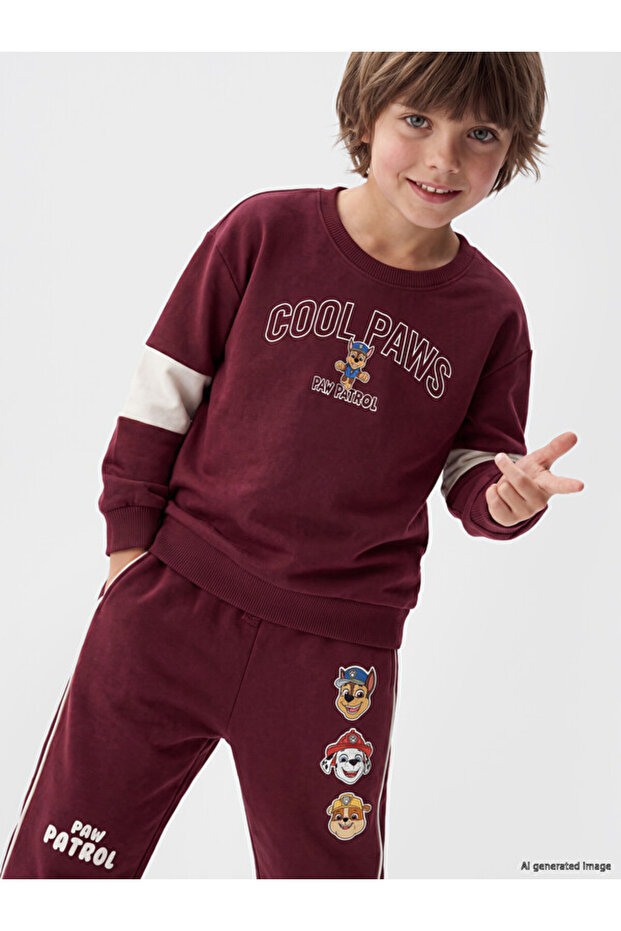 Esvab • Modern & Distinctive Paw Patrol Printed Boys' Sweatshirt