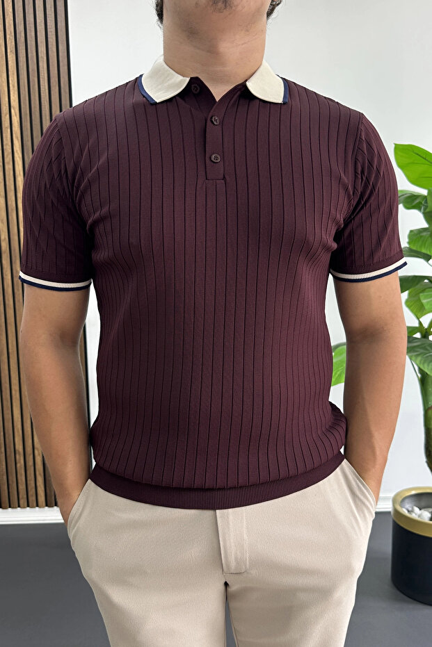 Men's Stripe Detailed Polo Collar T-Shirt Claret Red Edw497