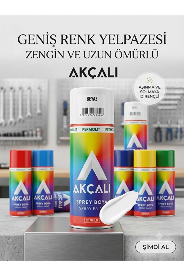 Beyaz Renkli Sprey Boya