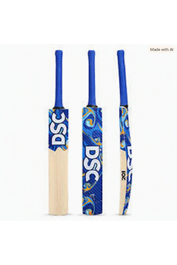DSC Kashmir Willow Bat