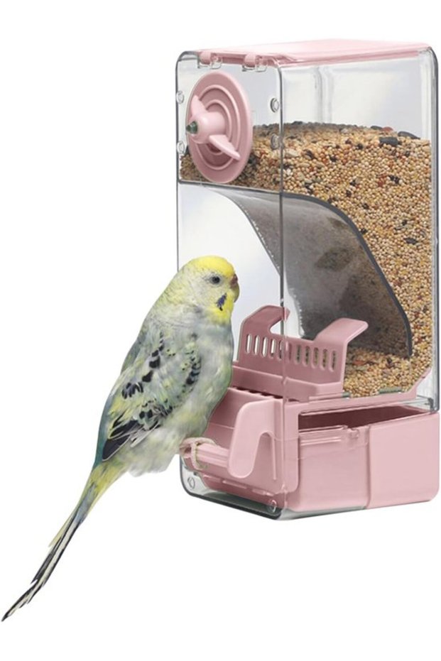 Bird Feeder - Hanging Clean Feeder - Rodent-proof - Suitable for Robins and Niger Seeds - Sturdy and Reliable - Dual Feeding Chambers - Green