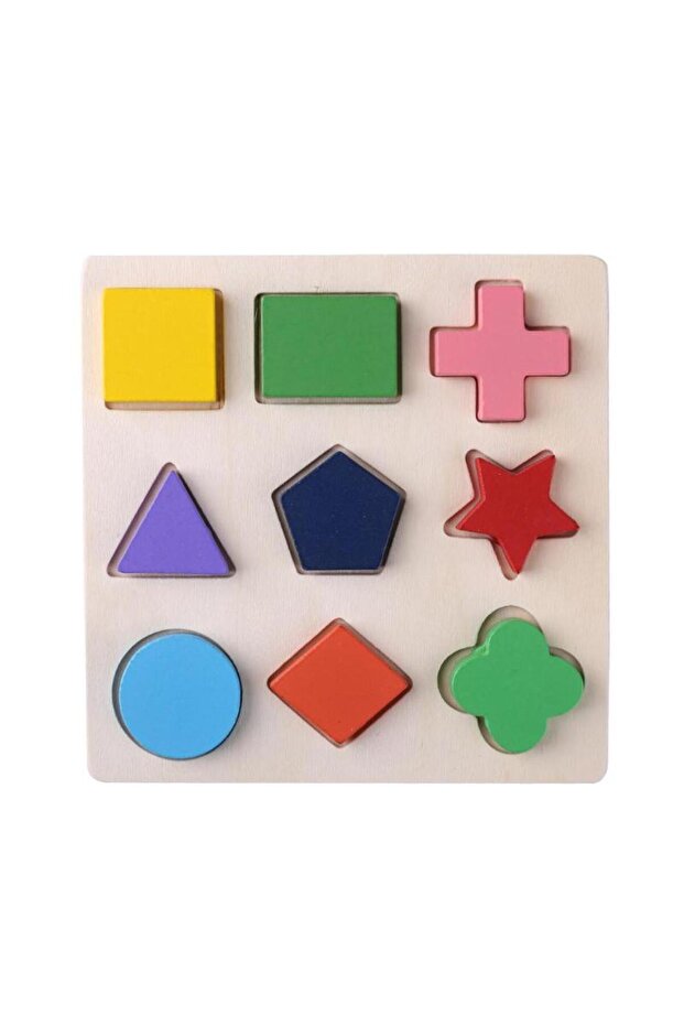 A Wooden Geometric Shapes Montessori Puzzle Sorting Math Bricks Preschool Learning Educational Game
