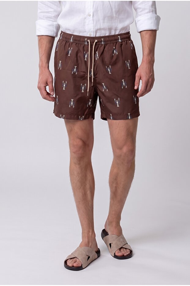Ds Damat Regular Fit Brown Shorts Swimwear