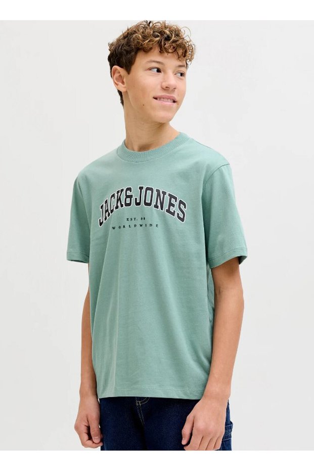 Blue Boy's Printed T-Shirt 12258924