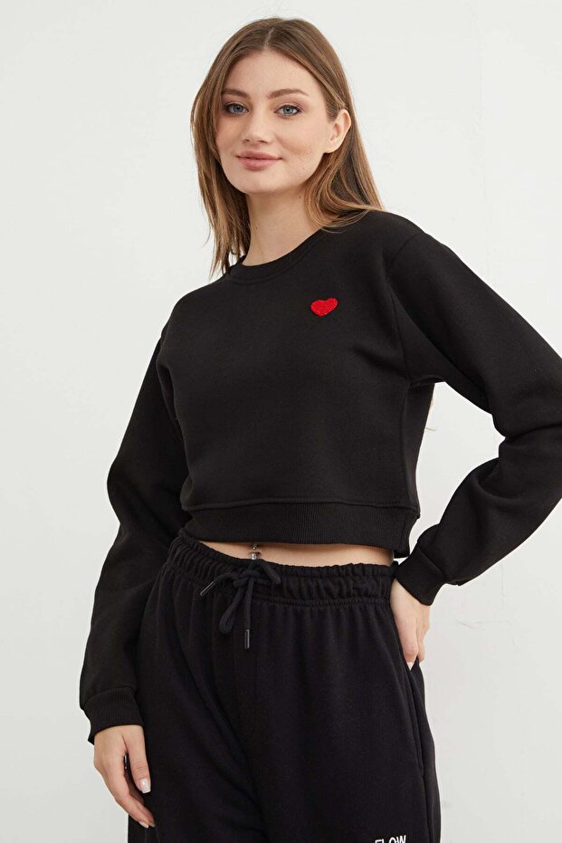 3 Thread Heart Embroidered Crop Sweatshirt