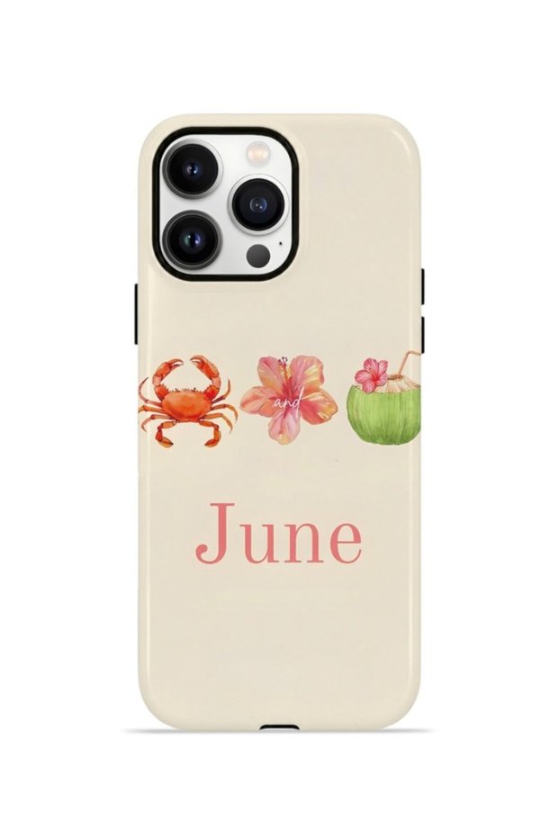 iPhone 13 Pro Vorian Double Layer Case June Seaside
