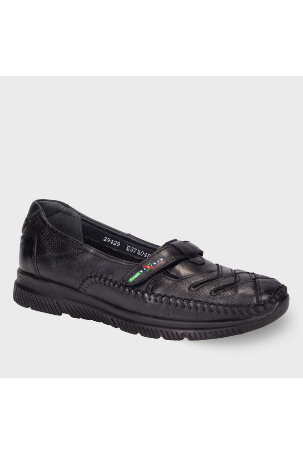 Forelli-29429 ELENA