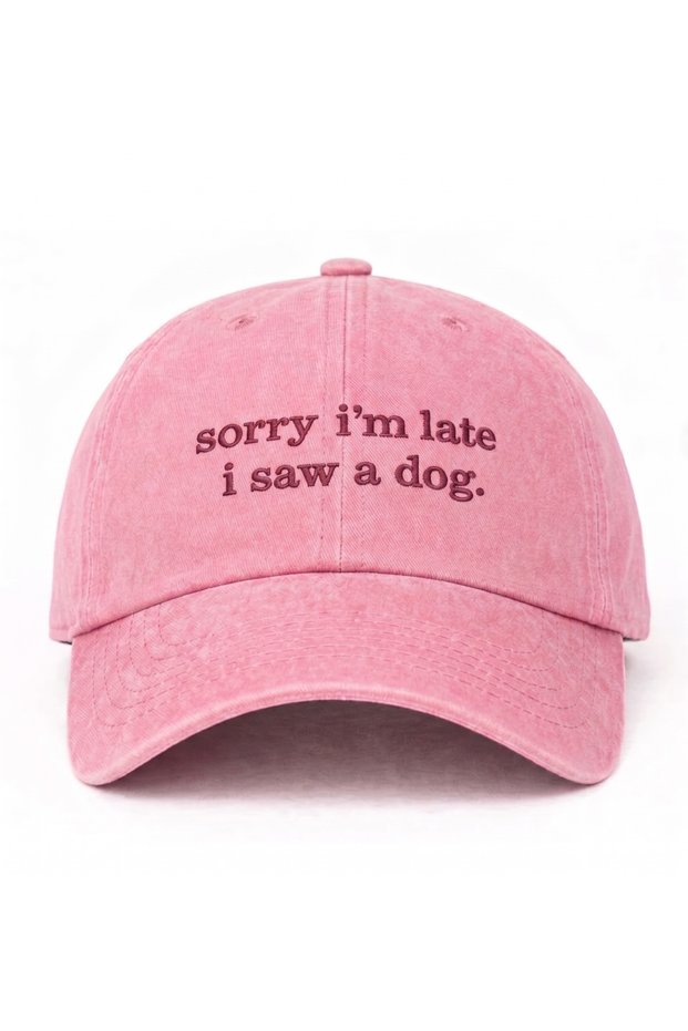 ''Sorry I'M Late, I Saw a Dog'' Embroidered Washable Hat / Dog Embroidered Baseball Cap