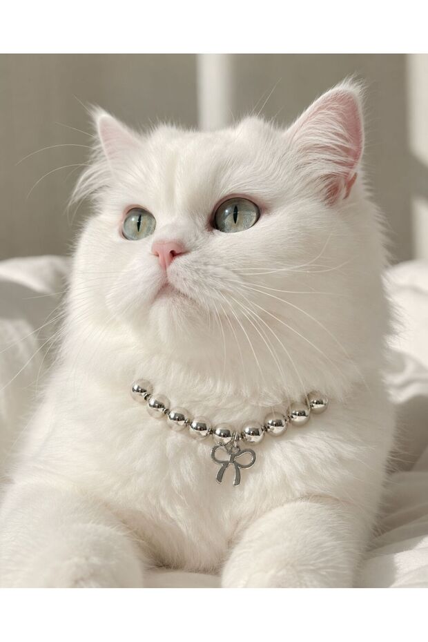 Silver Pearl Bow Cat Dog Neck Collar Cat Dog Leash Accessory Luxury Pet Collar