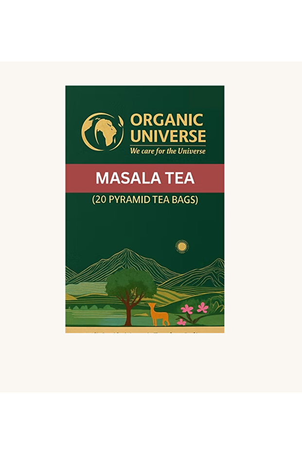 Masala Tea - 20 Pyramid bags -2g